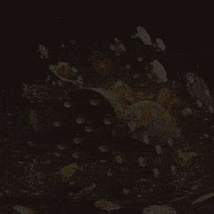 c64ab6d2c139b48fe8a579b622dbf760_1750055106_9206.gif